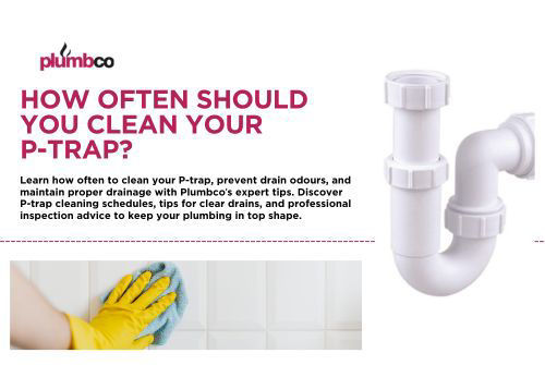 How Often Should You Clean Your P-Trap? Tips for a Healthy Drainage System